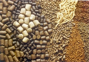 امحاء یک تن خوراک دام آلوده