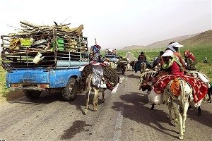 نگاهی به مشکلات عشایر در فصل کوچ