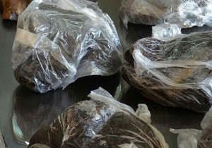 کشف ۲ کیلو و ۵۰۰ گرم انواع مواد مخدر