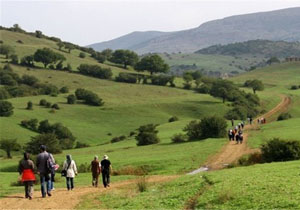 اجرای طرح  روستای سبز در لرستان