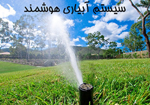 جریمه برای نوشتن عبارات بر وسایل نقلیه/غرق شدن ۲ نفر در استخر کشاورزی/تولد نوزاد پسر در آمبولانس بانوان
