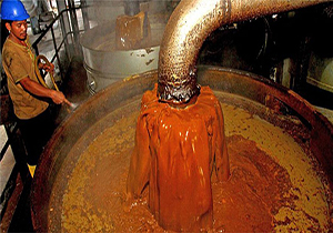 مختومه شدن پرونده شکایت از روغن پالم + صوت