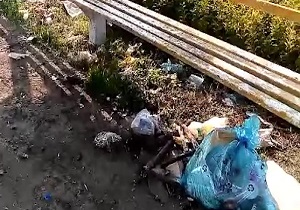 انباشت زباله در جاده قاسم آباد سفلی + فیلم