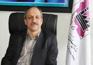پیشرفت 80 درصدی گاز رسانی ناحیه صنعتی مهمانک