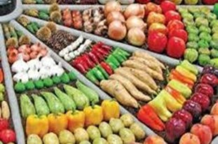 اجرای پروژه بسته‌بندی و سورتینگ میوه و سبزیجات در تبریز