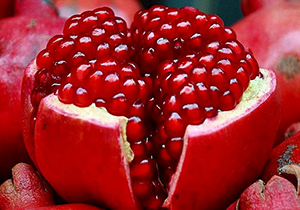 فاروق میزبان دومین جشنواره انار و گردشگری