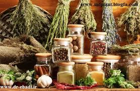 بردسیر پایلوت و خاستگاه کشت انواع گیاهان دارویی
