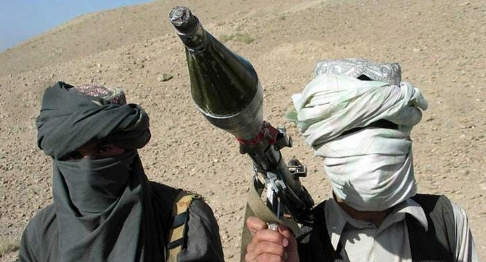 کشته شدن فرمانده ارشد نظامی طالبان در میدان وردک
