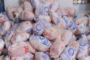 تامین مرغ و گوشت قرمز منجمد موردنیاز هیات‌های عزاداری