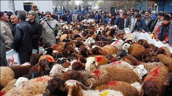 یوم العباس در زنجان /بزرگترین میعادگاه عاشقان حسینی در کشور