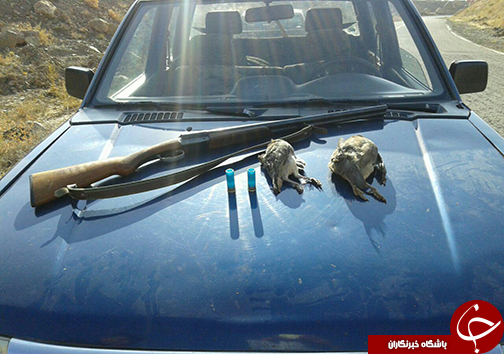 دستگیری ۱۳ شکارچی متخلف در مازندران