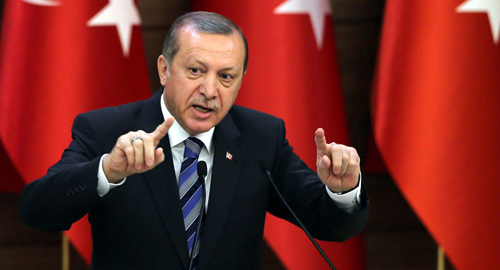 اردوغان: فقط اسرائیل از همه&zwnj;پرسی منطقه کردستان عراق حمایت کرد