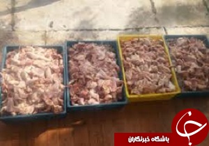 کشف ۲۵۵ کیلوگرم گوشت مرغ فله و فاقد هویت