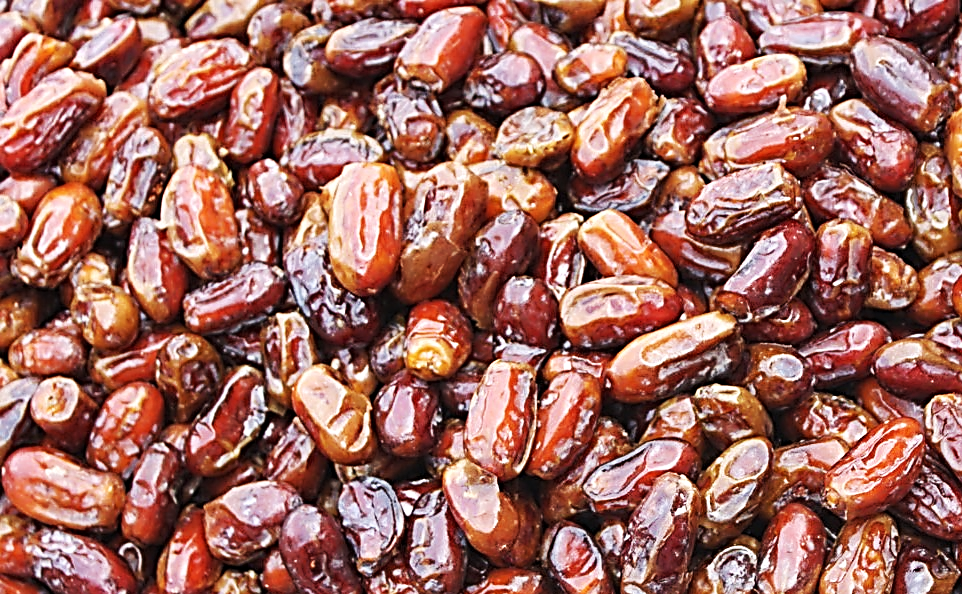 خرید بیش از 8 هزار تن خرما از نخلداران شادگان