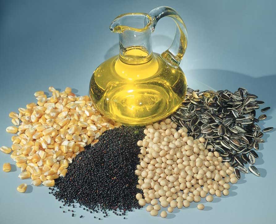 افزایش سطح زیر کشت کلزا در سال زراعی جدید/ 7 درصد روغن کشور در داخل تولید می شود