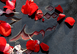 آیین معنوی میهمانی لالهها برگزار میشود