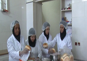 بازرسی آنلاین بهداشت محیط در فسا