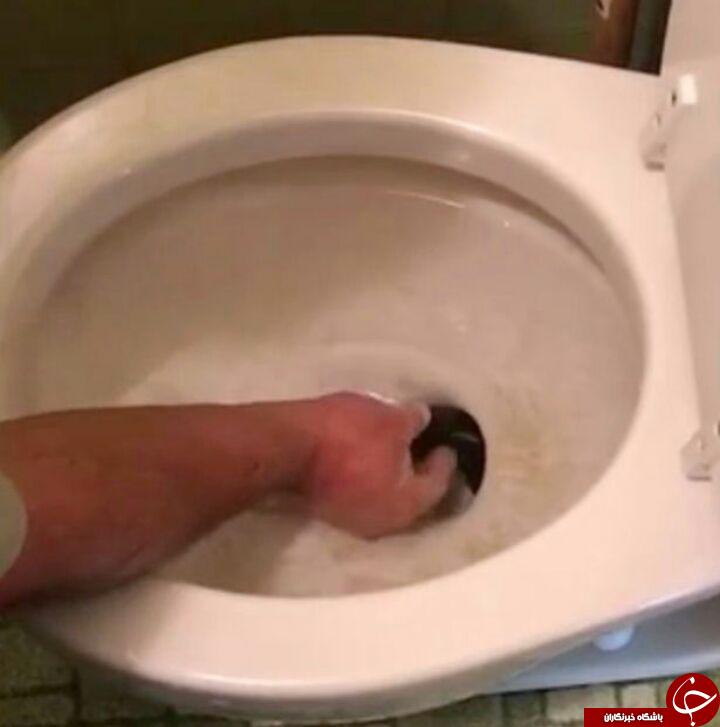 بیرون کشیدن مار 2 متری از داخل توالت ! تصاویر