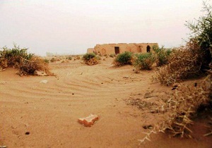 قاچاق سالانه سه تن تاغ از عرصه های بیابانی آرادان