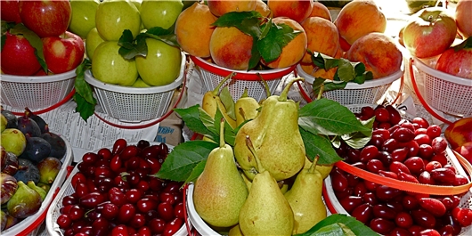 افزایش 11 درصدی صادرات میوه تازه افغانستان