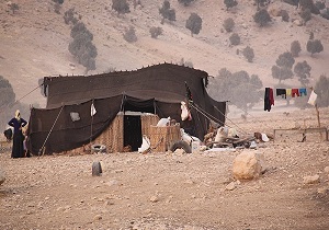 تعاونی عشایری در کوهین راه اندازی می‌شود
