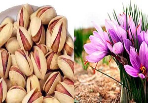 راه اندازی صندوق سرمایه‌گذاری کالایی در خراسان‌جنوبی