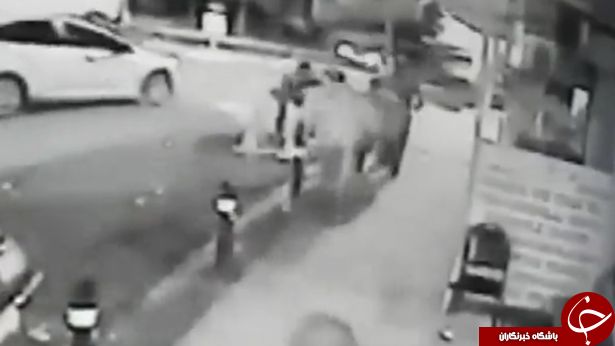 انتقام جویانه پدر بزرگ را به کام مرگ مرد