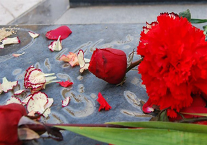 غبار روبی