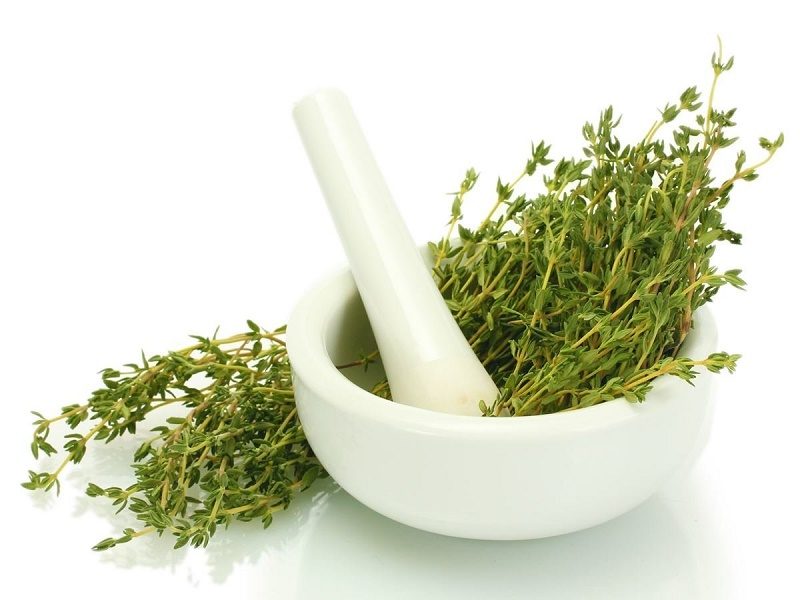 فواید استفاده از گیاه آویشن