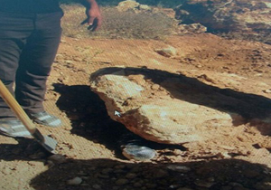 کشف و ضبط ۵ کیلوگرم تریاک از زمین کشاورزی در بوکان