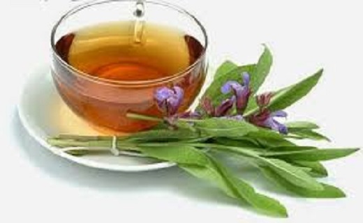 دمنوش&zwnj;هایی معجزه&zwnj;آسا برای لاغری/موثرترین نسخه&zwnj;های گیاهی برای لاغری