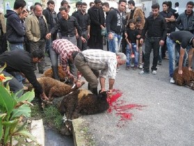 نظارت ۷۴ اکیپ ثابت وسیار بر ذبح نذورات مردم در تاسوعا وعاشورای حسینی در آذربایجان غربی