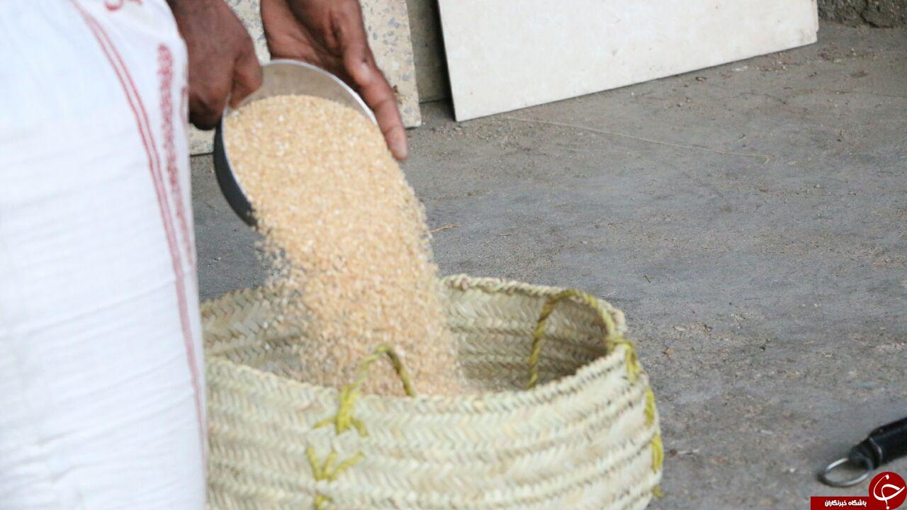 برگزاری آیین سنتی طبخ حلیم جم در فین+تصاویر