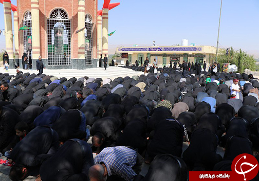 اقامه نماز ظهر تاسوعا در بقاع متبرکه فارس + تصاویر