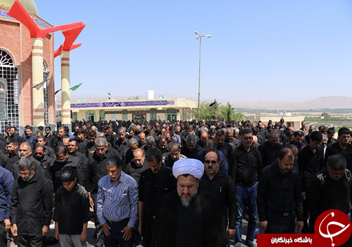 اقامه نماز ظهر تاسوعا در بقاع متبرکه فارس + تصاویر