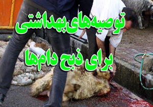 خودداری از کشتار سنتی/ گوشت تازه نذری ۲۴ ساعت یخ بزند