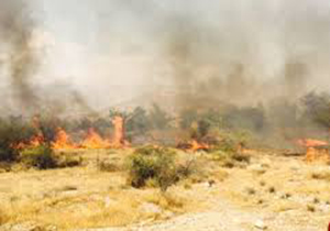 آتش در باغات روستای قلعه طارم سفلا