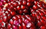 باشگاه خبرنگاران -راحت‌ترین شیوه پوست کندن انار +فیلم