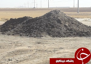 با دپوی غیر مجاز کود مرغی برخورد می&zwnj;شود
