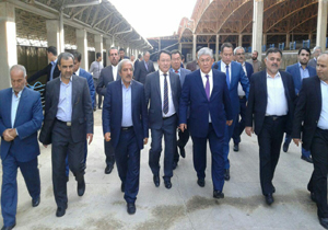 بازدید استاندار استان قیزیل آوردا از مجتمع پرورش ماهی جویبار