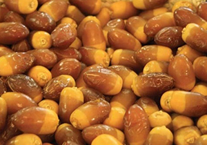 اهدای رطب برای پذیرایی از زائران کربلای حسینی