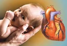 لزوم آگاهی رادیولوژیست&zwnj;ها از عملکرد قلب جنین/ امکانات رادیولوژی ایران ایده&zwnj;آل نیست&nbsp;