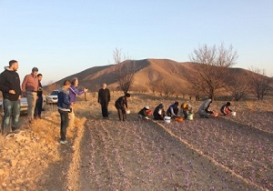 ورود گردشگران آلمانی به خراسان جنوبی