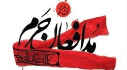 مدافع حرم 18 ساله ، افتخاری برای کرمان