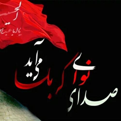 چهره از خون خدا کردی خضاب ای ذوالجناح