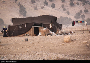 رشد 53 درصدی تسهیلات عشایر استان