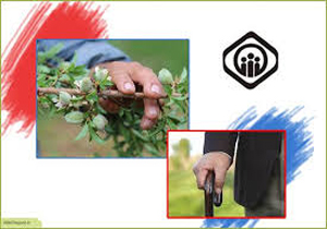 چگونه سوابق بیمه خود را مشاهده کنیم؟