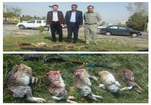 دستگیری 2 شکارچی غیرمجاز در شهرستان مشگین شهر