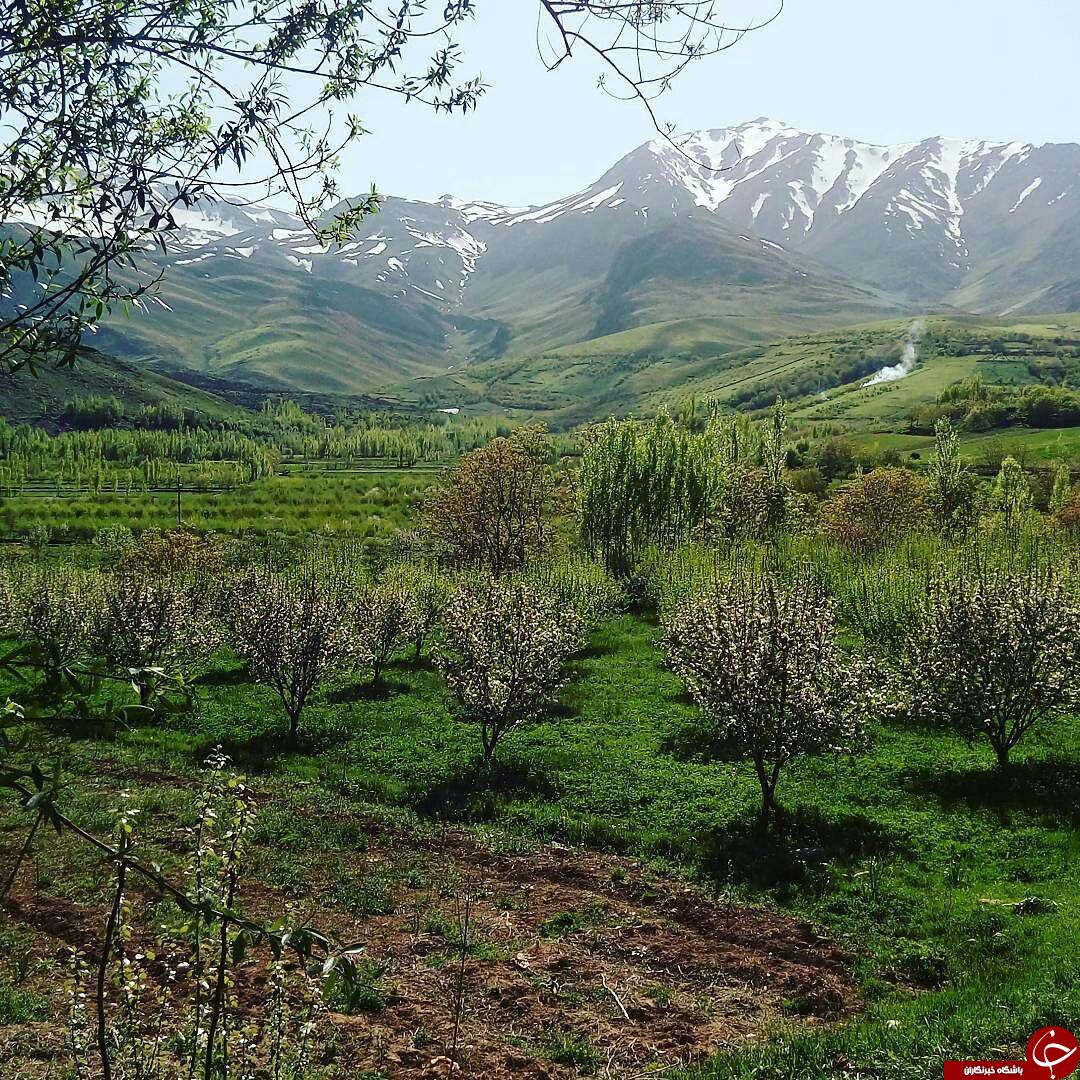 طبیعت بکر و فوق&zwnj;العاده زیبا در ونایی + عکس
