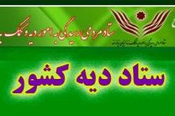 آمار رانندگان زندانی جرائم غیرعمد به کمتر از ۶۰۰ نفر رسید